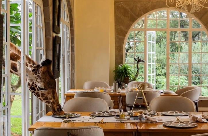 Day room at The Retreat at Giraffe Manor 